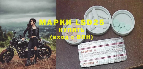 индика Балахна