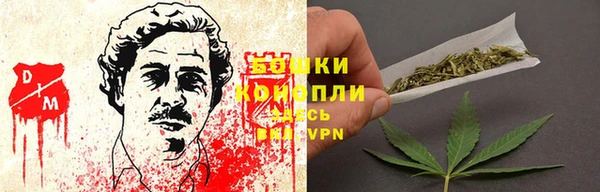 гидропоника Белоозёрский