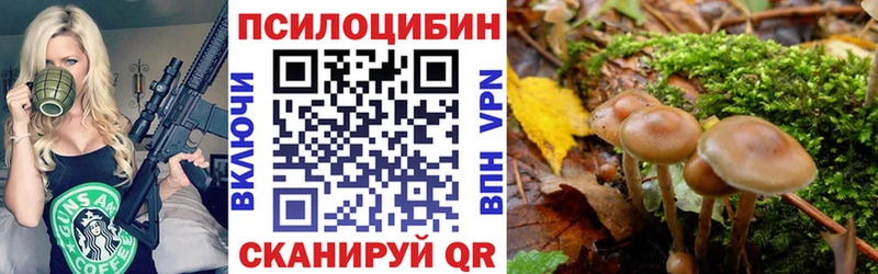 Галлюциногенные грибы Cubensis  Верхняя Тура 